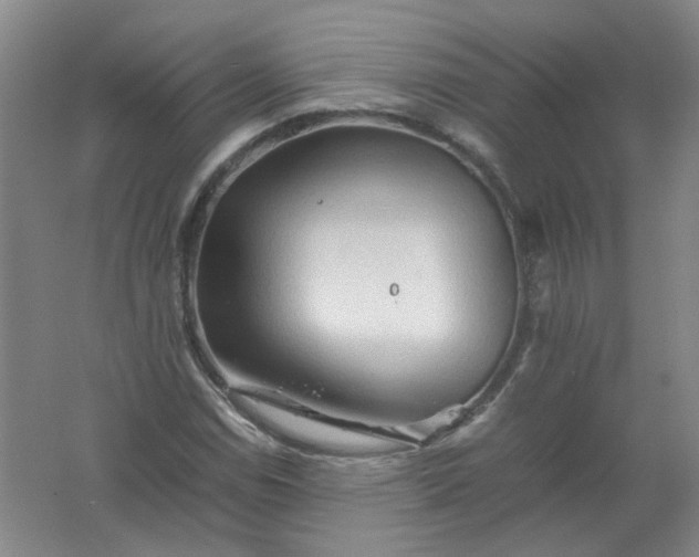 X0000062171114200512231618