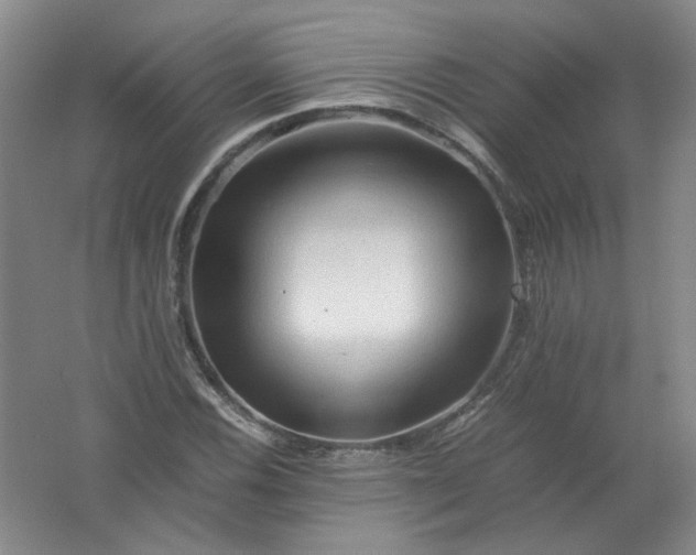 X0000062171116200512231618