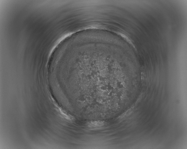 X0000062171117200512231618