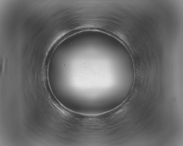 X0000062171119200512231619