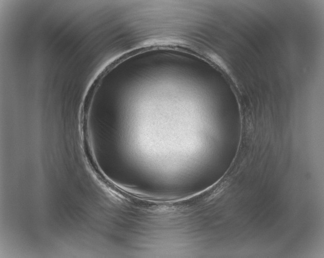 X0000062171124200512231619