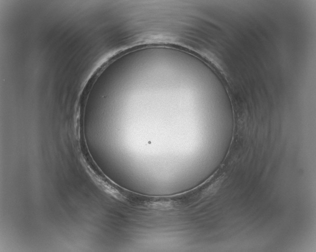 X0000062171126200512231619