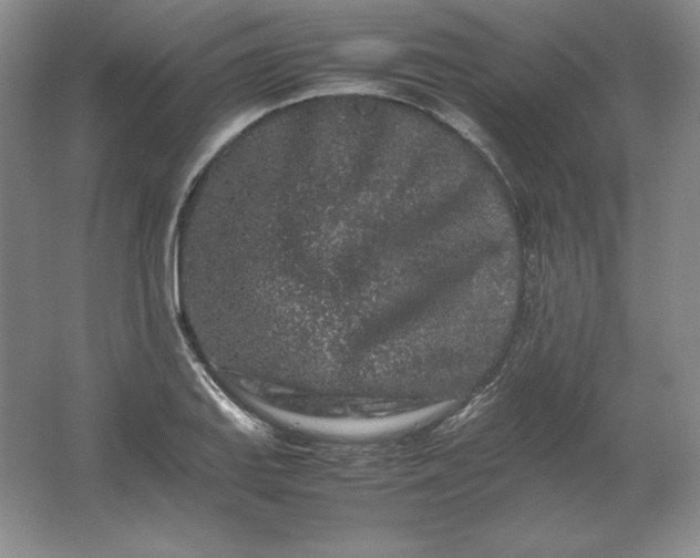 X0000062171127200512231619