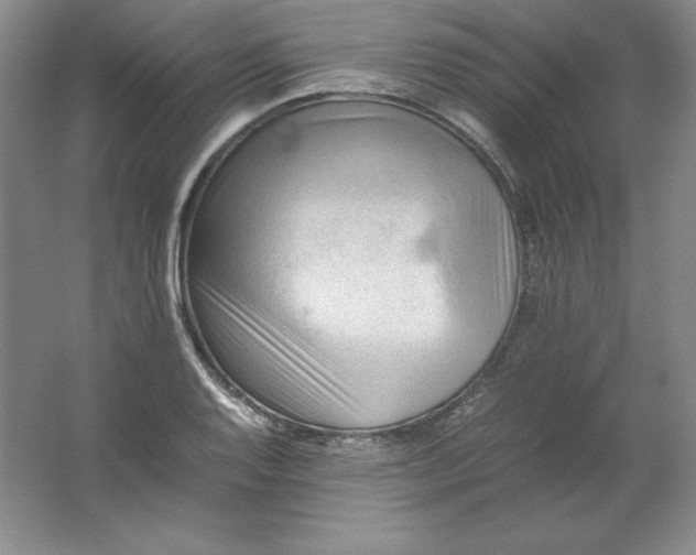 X0000062171128200512231619