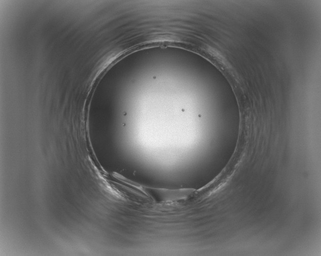 X0000062171129200512231619