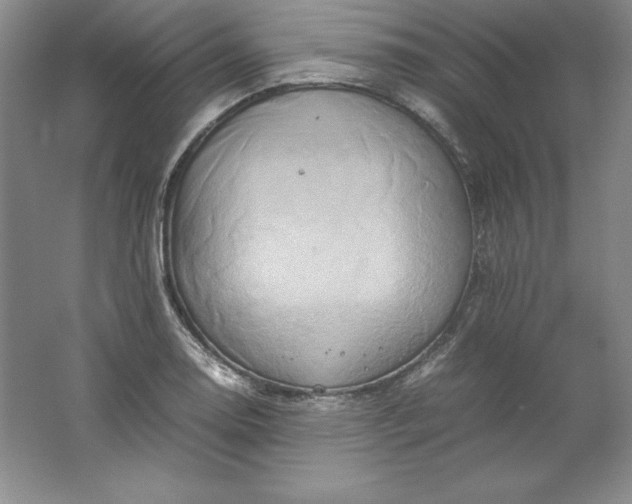 X0000062171130200512231619