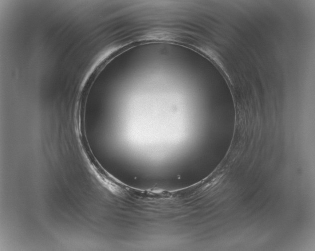 X0000062171131200512231619