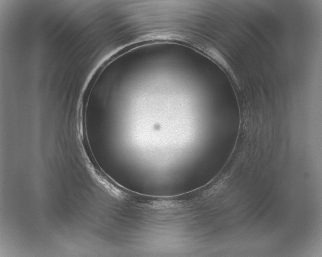 X0000062171132200512231619