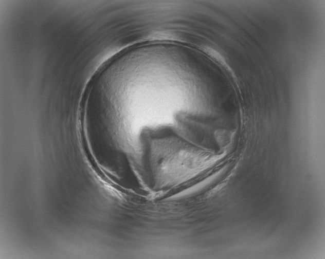 X0000062171133200512231619