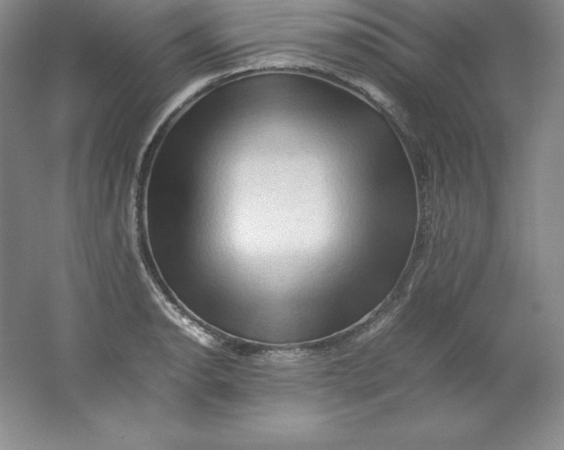 X0000062171134200512231619