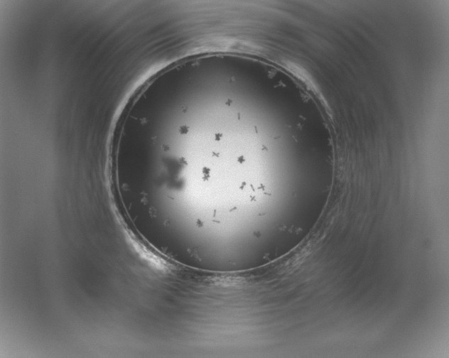 X0000062171136200512231619