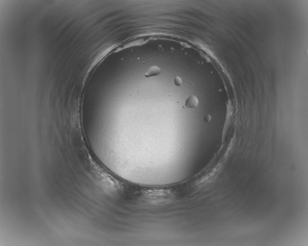 X0000062171137200512231619