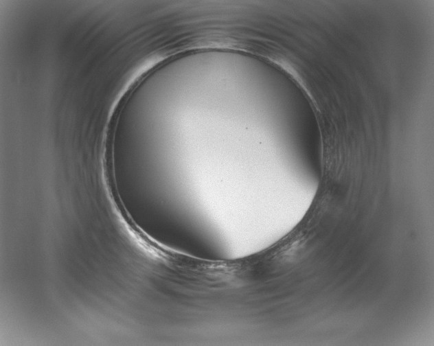 X0000062171139200512231619