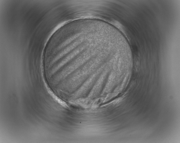 X0000062171142200512231619