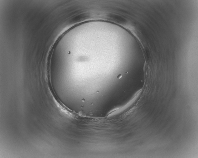 X0000062171143200512231619