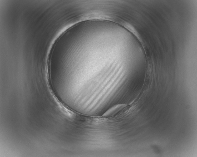 X0000062171144200512231619