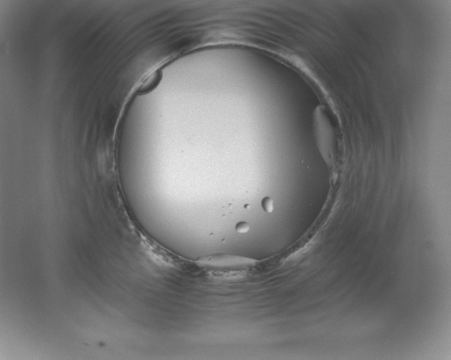 X0000062171145200512231619