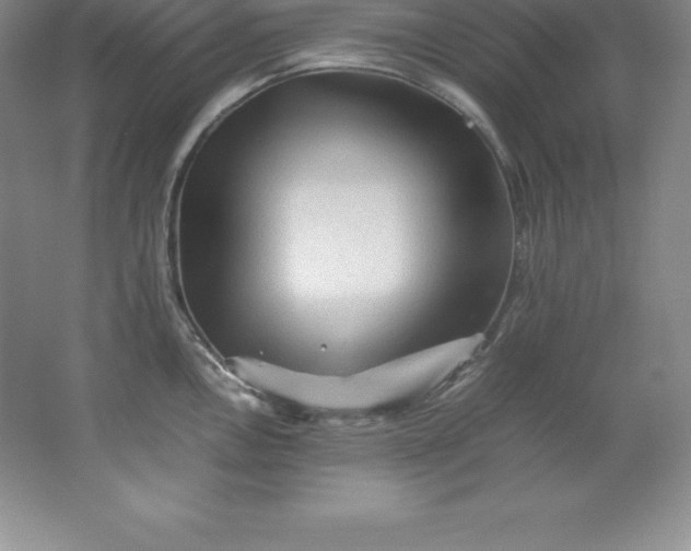 X0000062171146200512231619