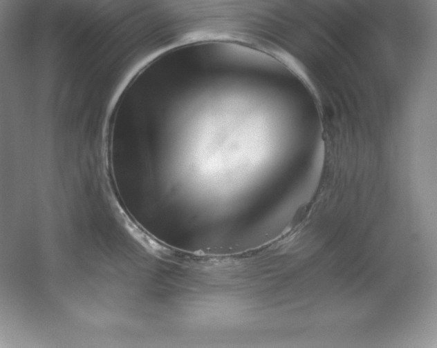 X0000062171148200512231619