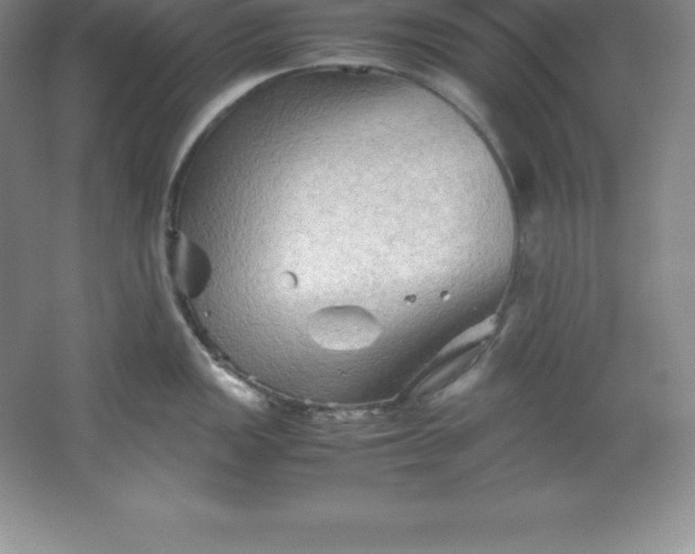 X0000062171149200512231619