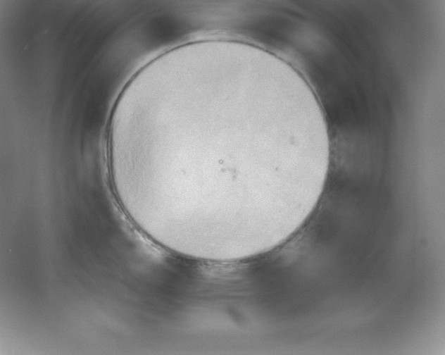 X0000062171150200512231619