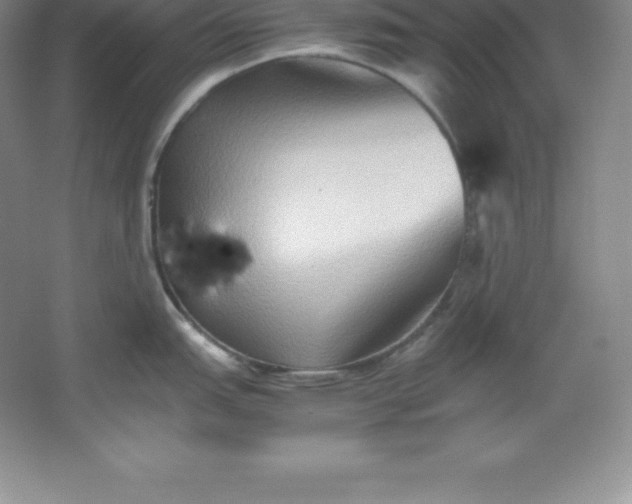 X0000062171151200512231619