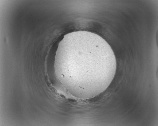 X0000062171153200512231618