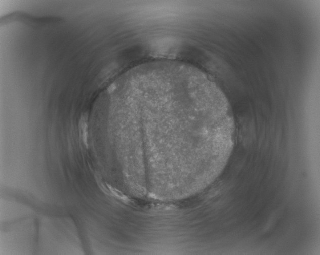 X0000062171154200512231618