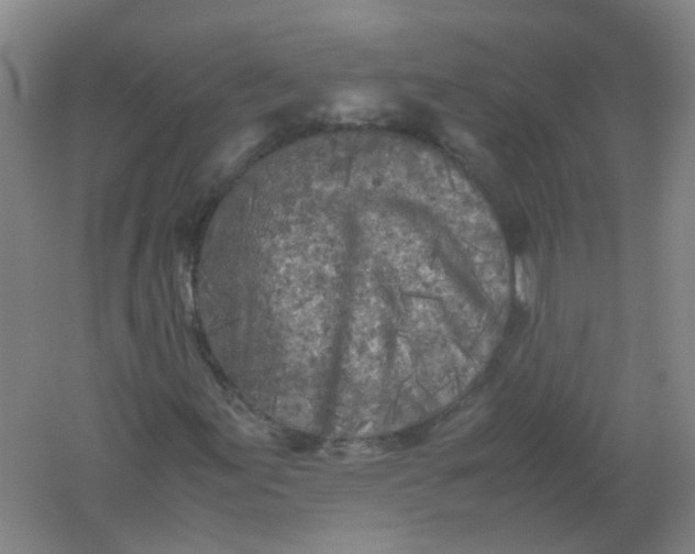 X0000062171155200512231618