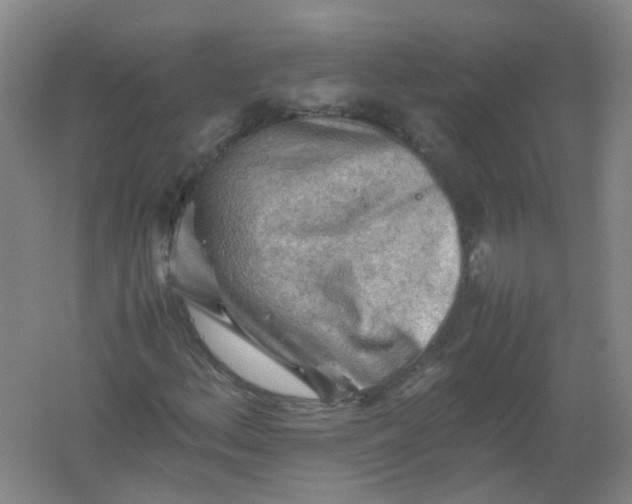 X0000062171156200512231618