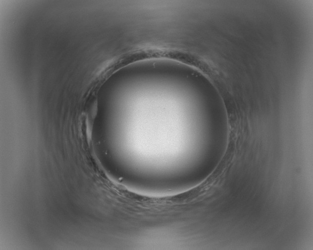 X0000062171157200512231618