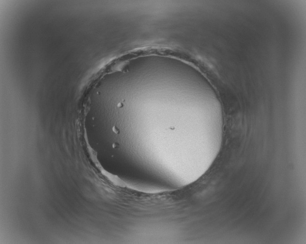 X0000062171159200512231618