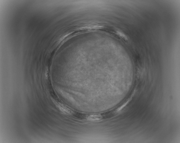 X0000062171161200512231618