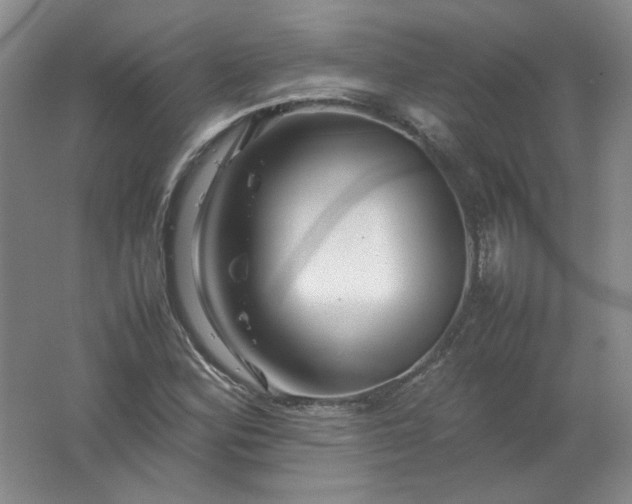 X0000062171164200512231618