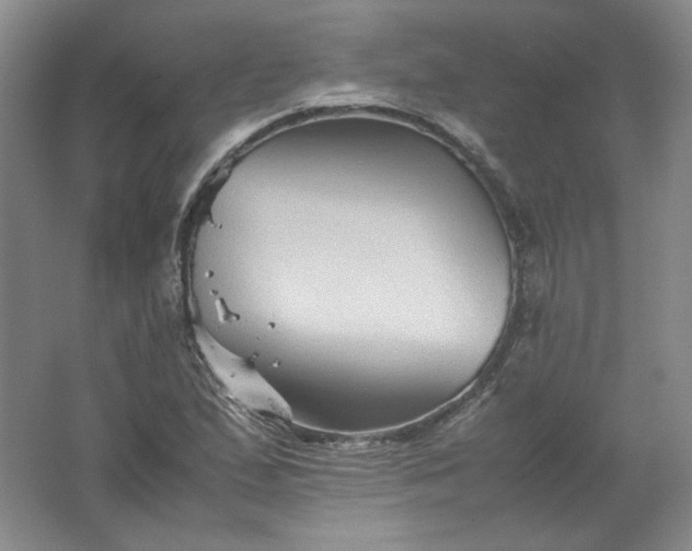 X0000062171167200512231618