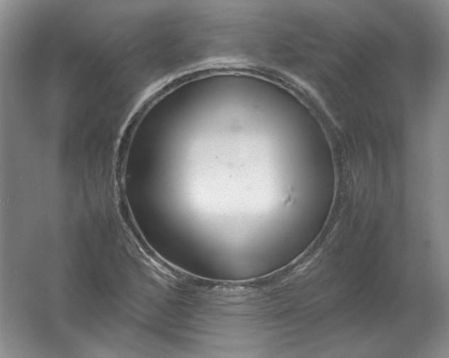 X0000062171168200512231618