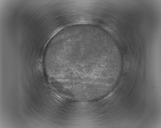 X0000062171170200512231618