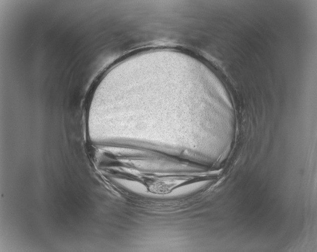 X0000062171171200512231618