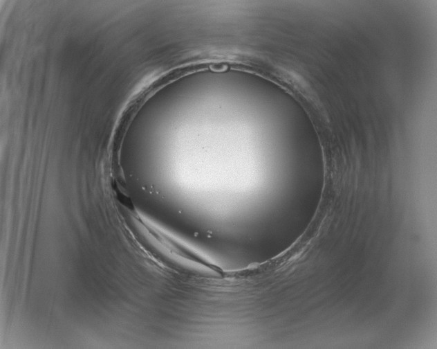 X0000062171172200512231618