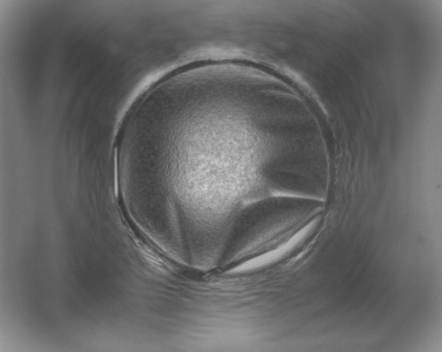 X0000062171175200512231618