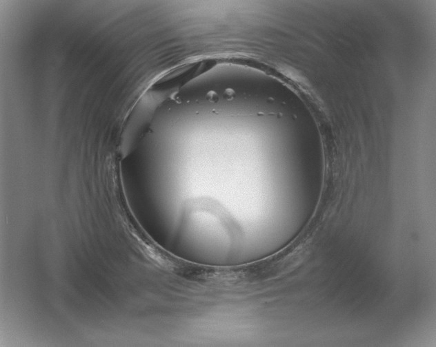 X0000062171177200512231618