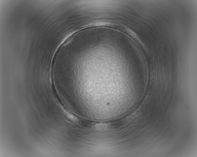 X0000062171178200512231618