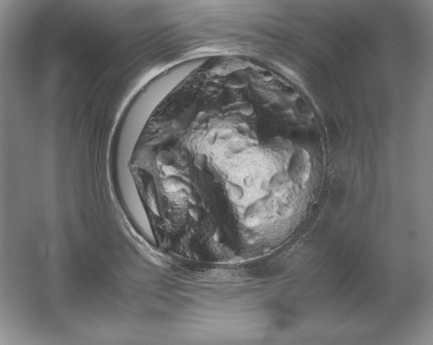 X0000062171179200512231618