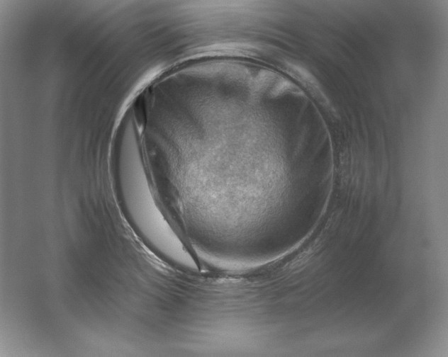 X0000062171180200512231618