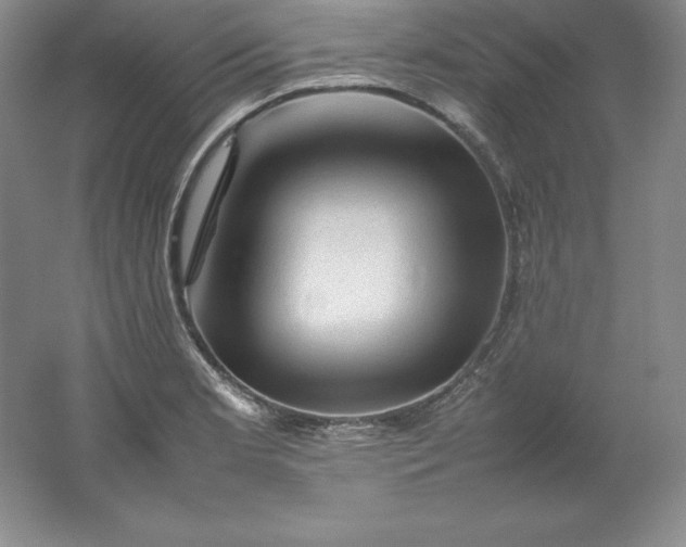 X0000062171181200512231618