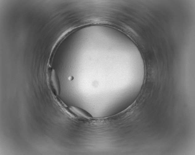 X0000062171182200512231618