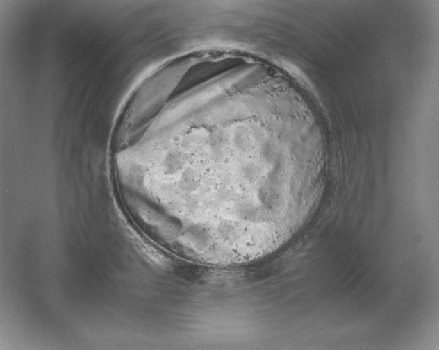 X0000062171183200512231618