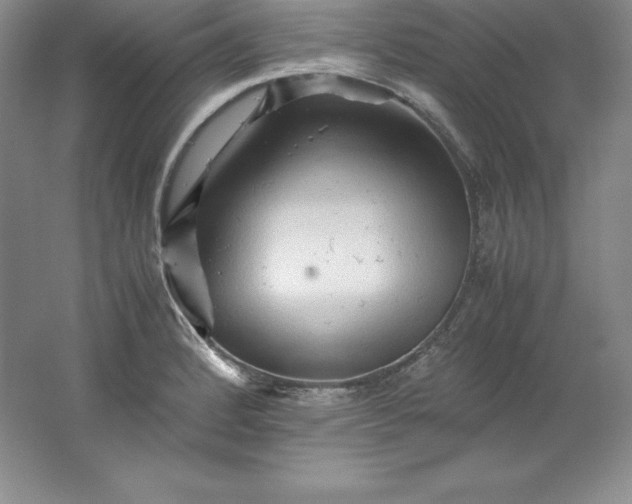 X0000062171184200512231618