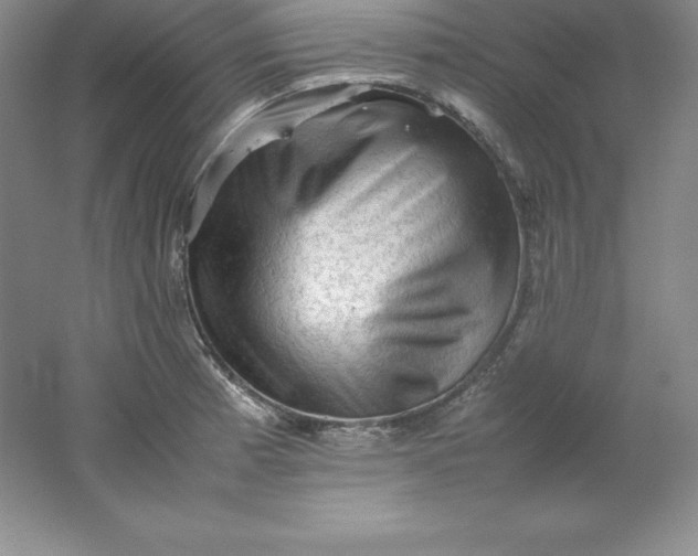 X0000062171185200512231618