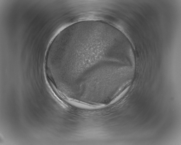 X0000062171187200512231618